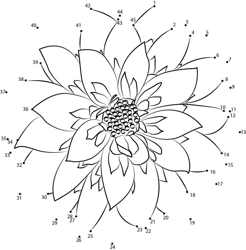 Dahlia Flower printable dot to dot worksheet