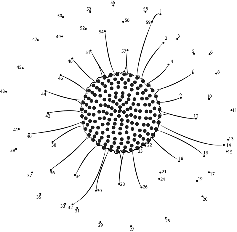 Daisy printable dot to dot worksheet