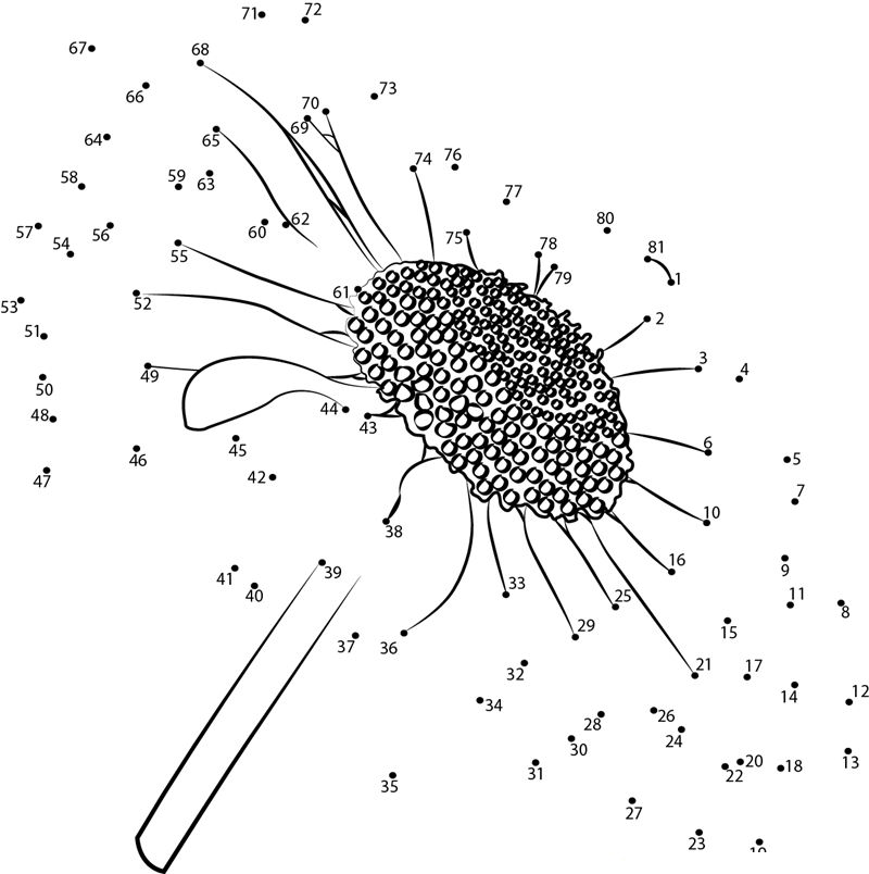 Daisy Flower printable dot to dot worksheet