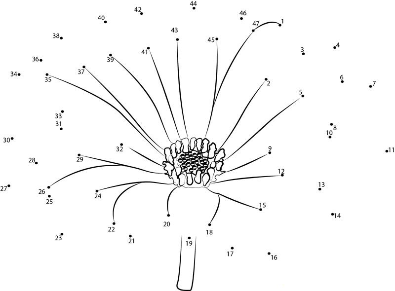 Pretty Daisy printable dot to dot worksheet