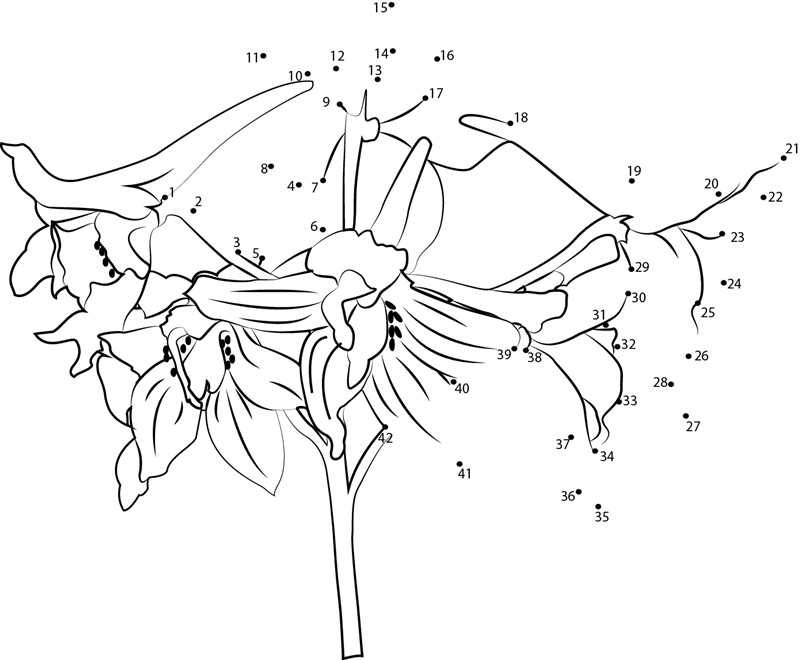 Delphinium Flower printable dot to dot worksheet