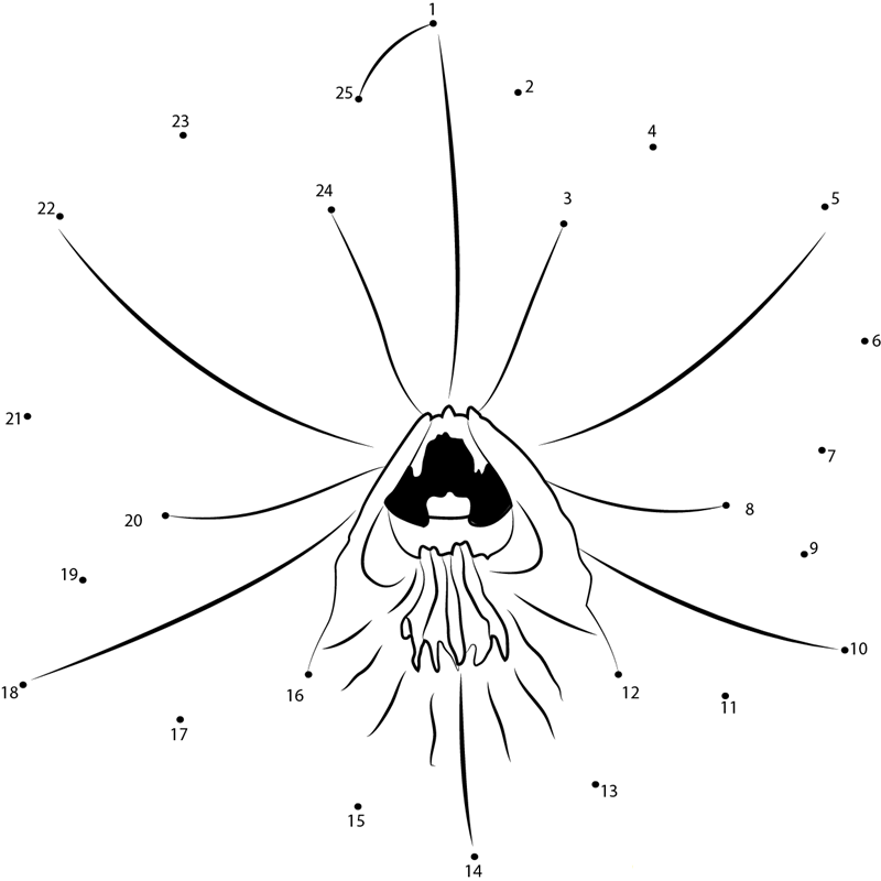 Dendrobium Orchid printable dot to dot worksheet