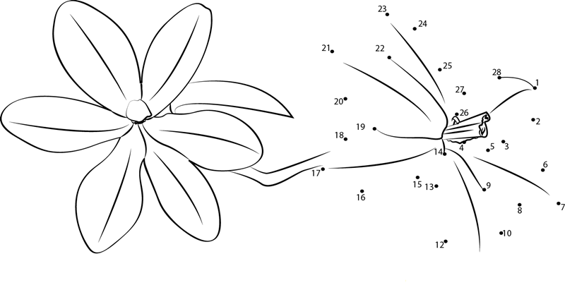 Freesia F2 printable dot to dot worksheet