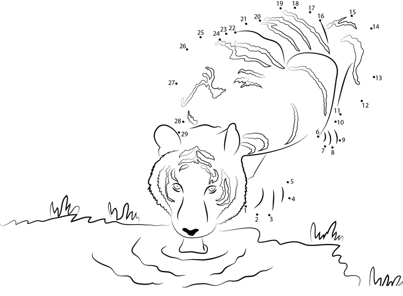 Tiger Drinking A Water dot to dot worksheets