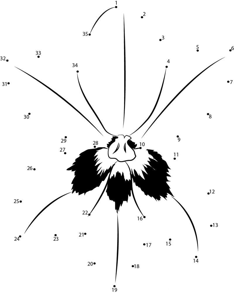 Freesia Flower printable dot to dot worksheet