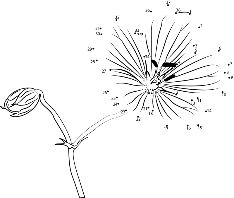 Geranium F2 printable dot to dot worksheet