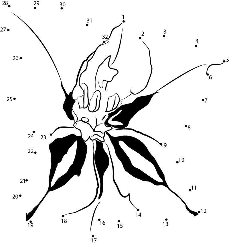 Gladiolus Flower dot to dot worksheets