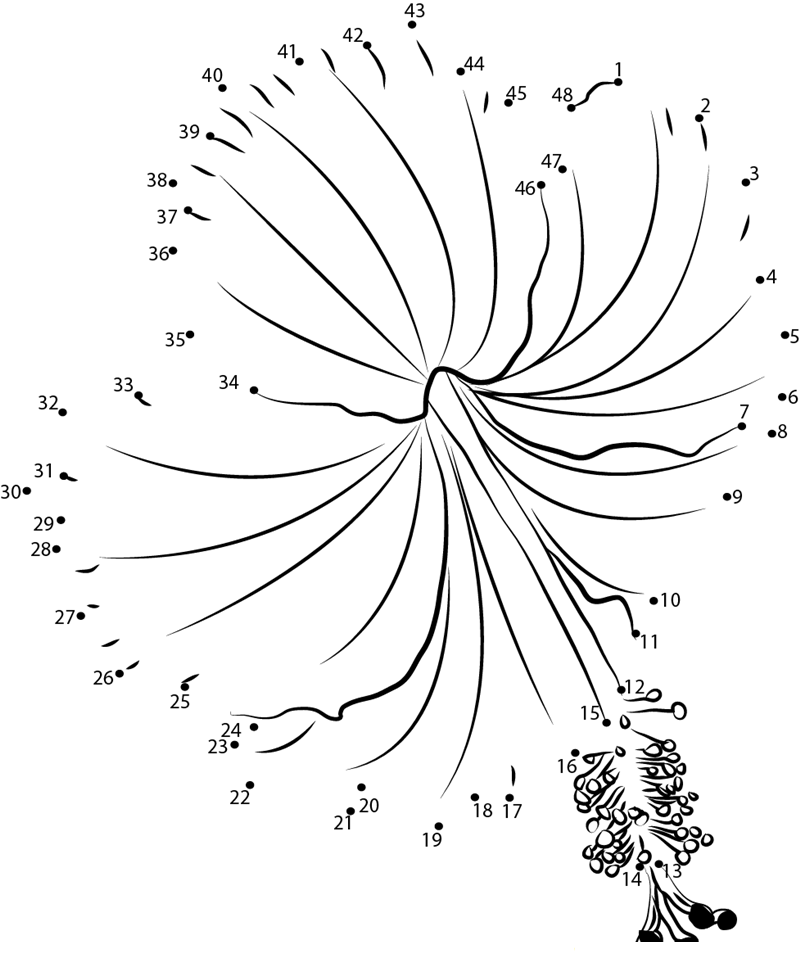 Hibiscus F2 dot to dot worksheets