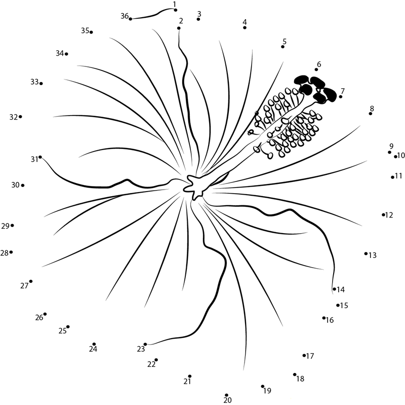 Hibiscus Flower dot to dot worksheets