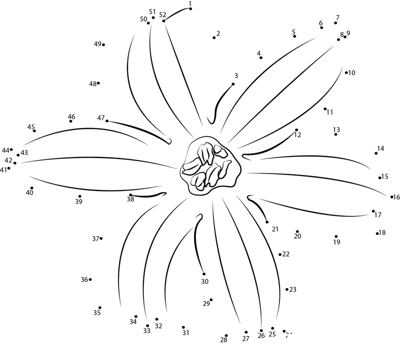 Hyacinth F2 dot to dot worksheets