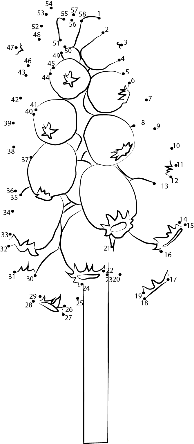 Hyacinth Flower dot to dot worksheets