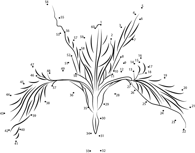 Iris F2 printable dot to dot worksheet