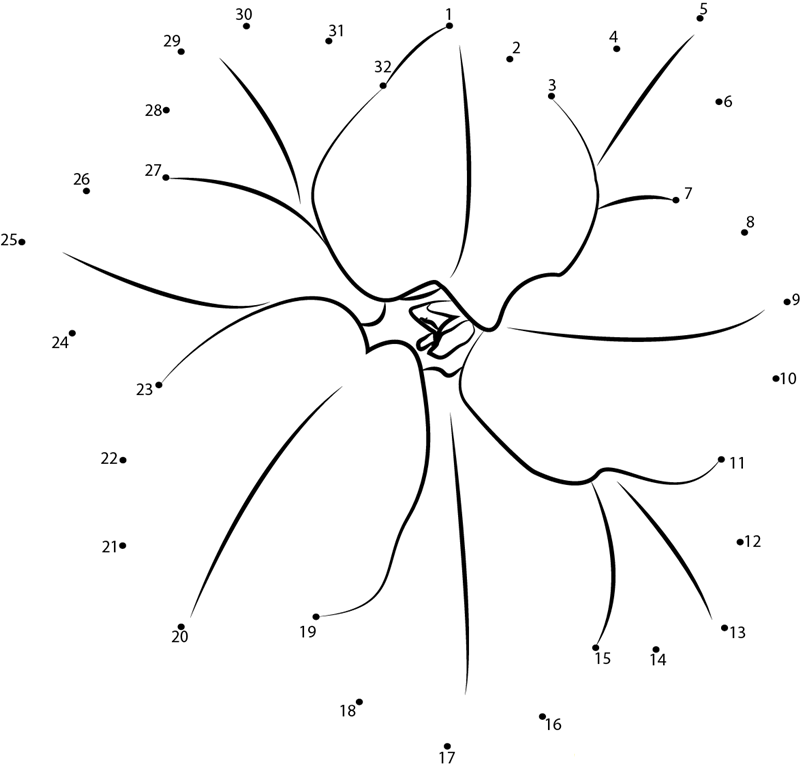 Jasmine Flower printable dot to dot worksheet