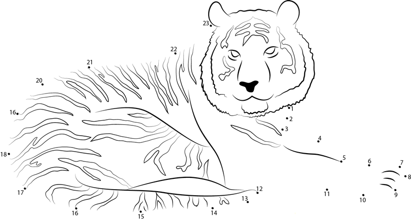 Tiger Look At Me dot to dot worksheets