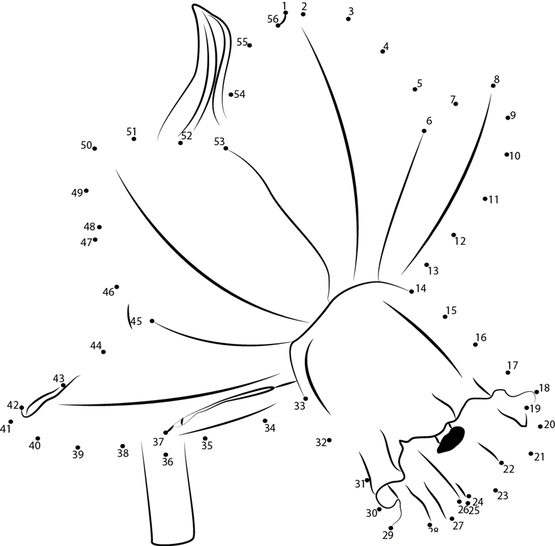 Jonquil F2 printable dot to dot worksheet