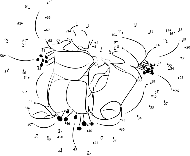 Kalanchoe F2 dot to dot worksheets