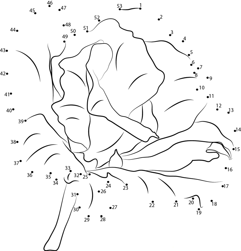 Lisianthus F2 printable dot to dot worksheet