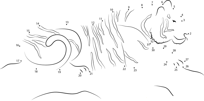 Tiger On Hunting printable dot to dot worksheet