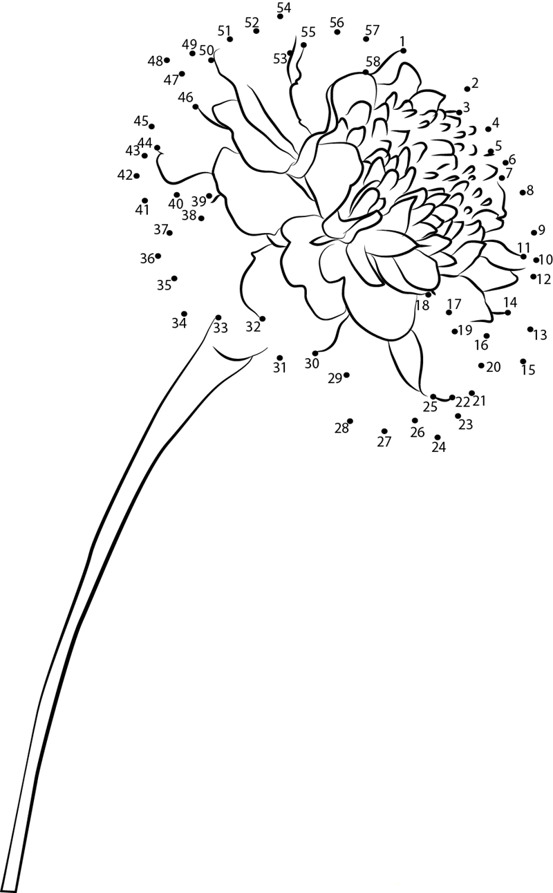 Marigold F2 printable dot to dot worksheet