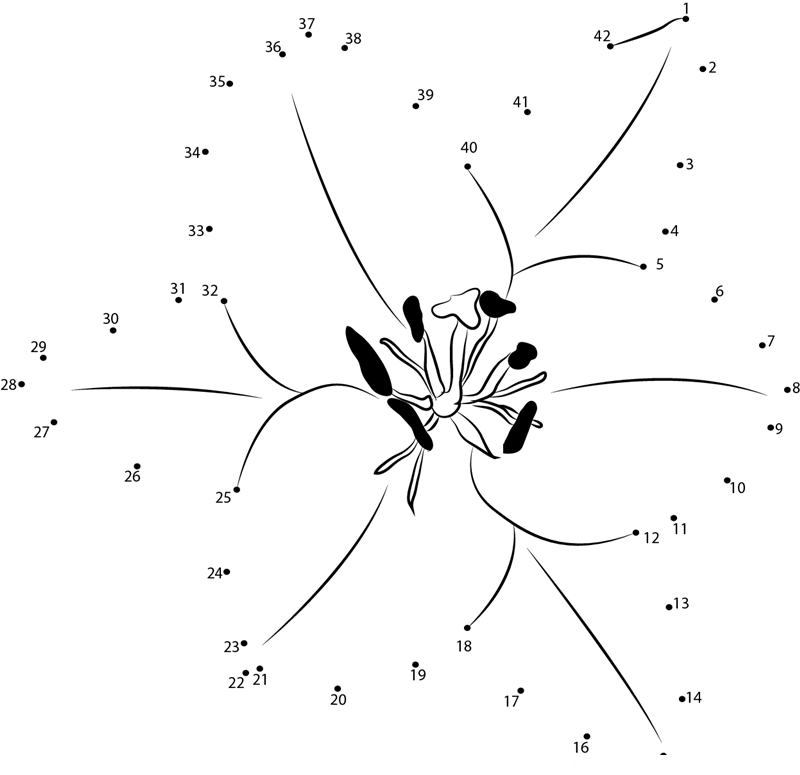 Oriental Lily F2 printable dot to dot worksheet