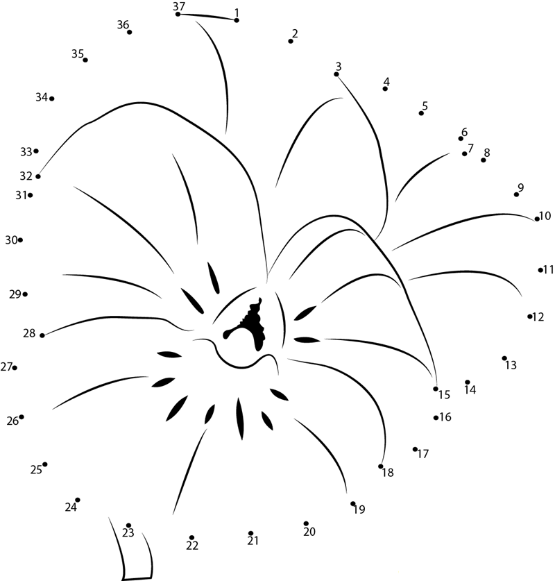 Pansy printable dot to dot worksheet