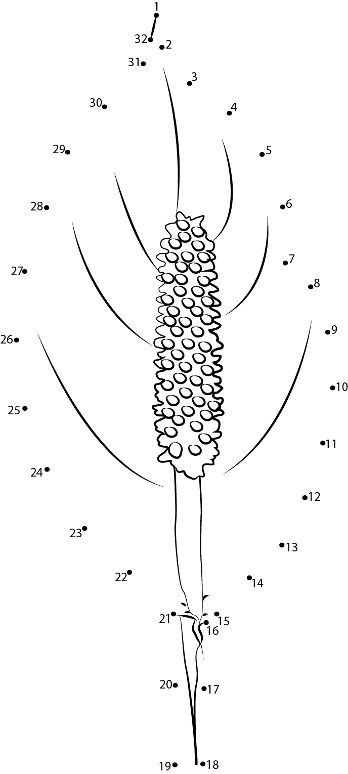 Peace Lily dot to dot worksheets