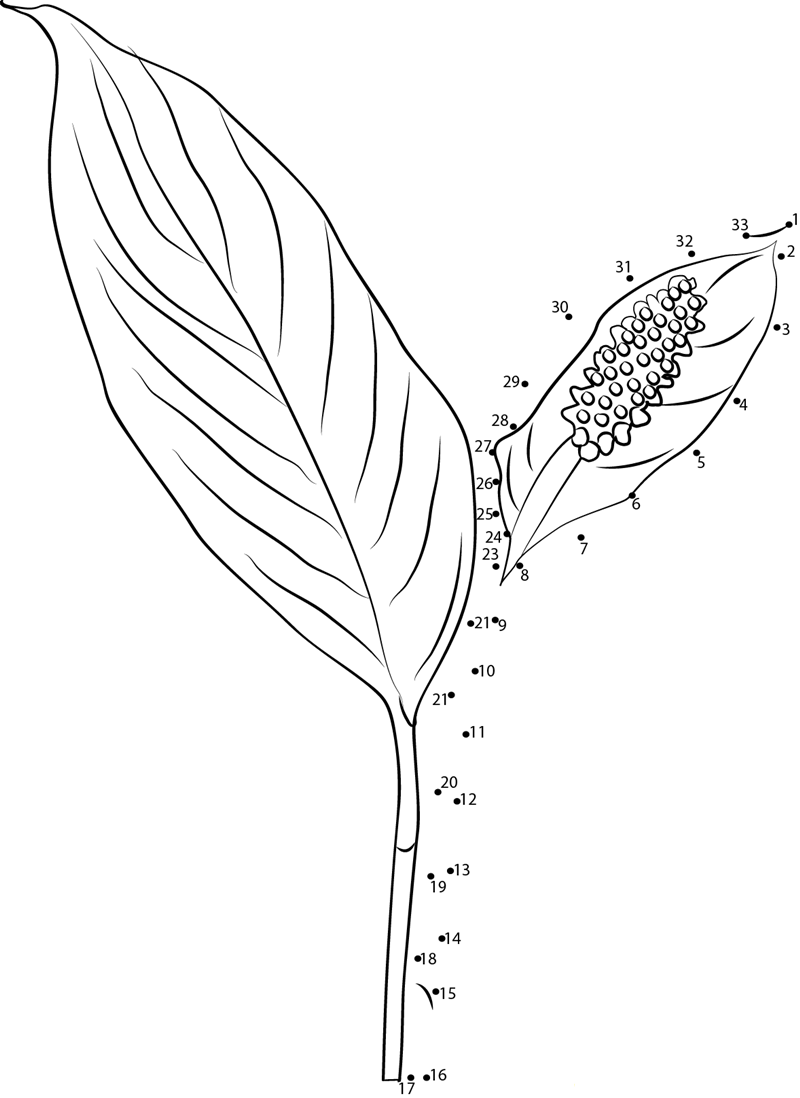 Peace Lily Flower dot to dot worksheets