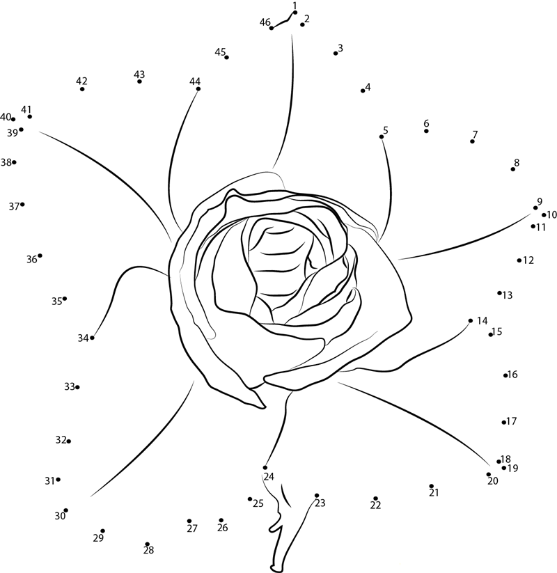 Petite Rose dot to dot worksheets