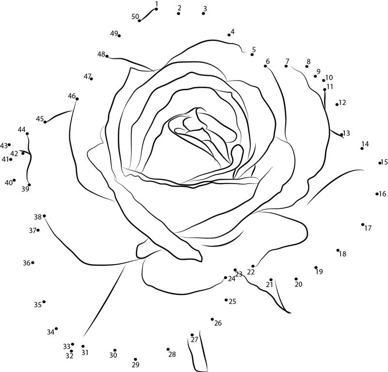 Petite Rose Flower dot to dot worksheets