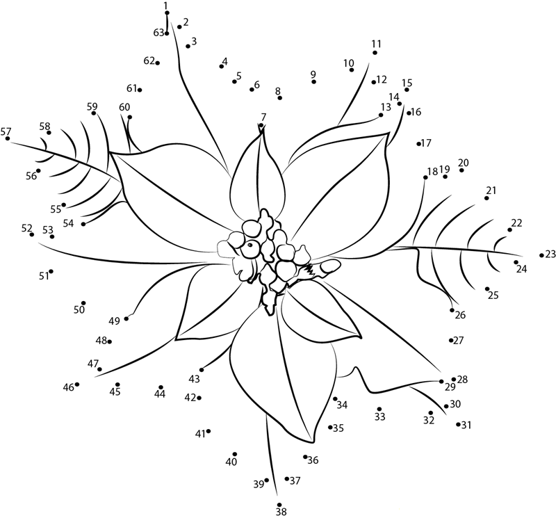 Poinsettia Flower printable dot to dot worksheet