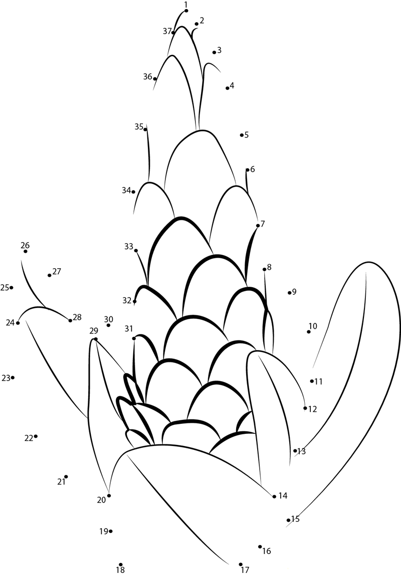 Protea F2 dot to dot worksheets