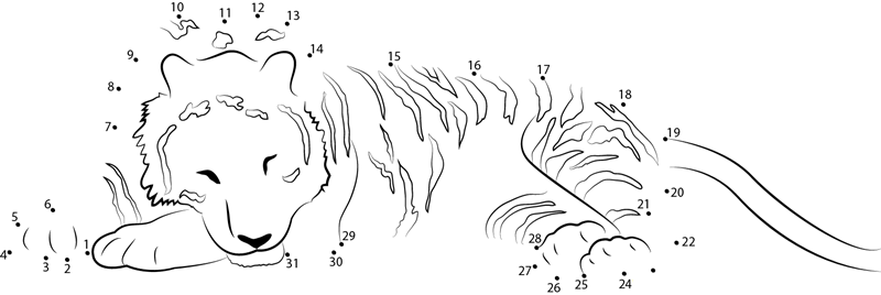 Tiger Sleeping printable dot to dot worksheet