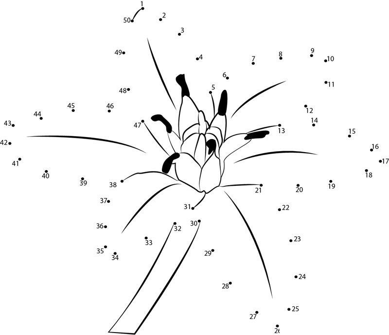 Star Of Bethlehem F2 dot to dot worksheets