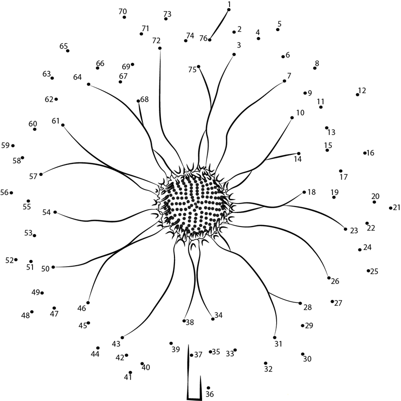 Small Sunflower printable dot to dot worksheet