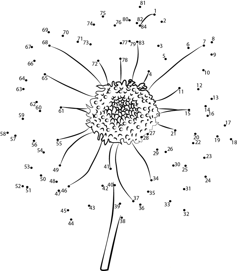 Sun Flower printable dot to dot worksheet