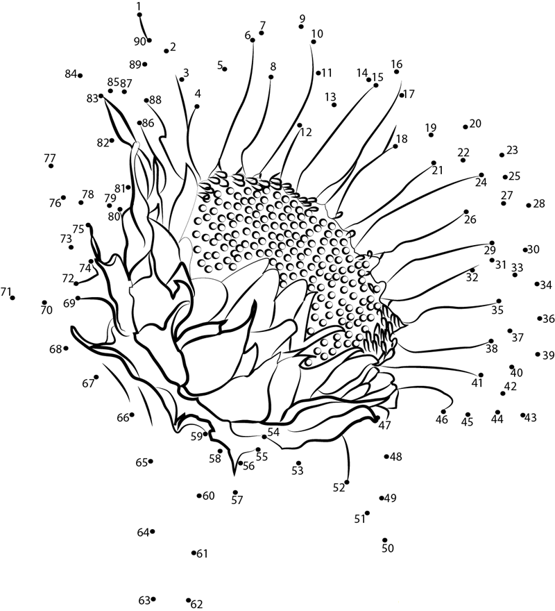 Sunflower F2 printable dot to dot worksheet