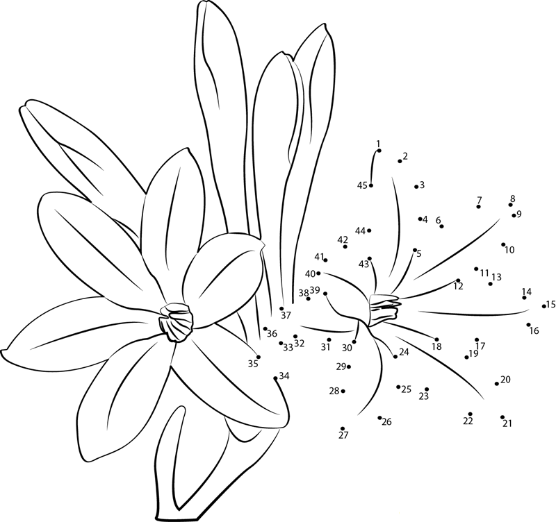 Tuberose dot to dot worksheets