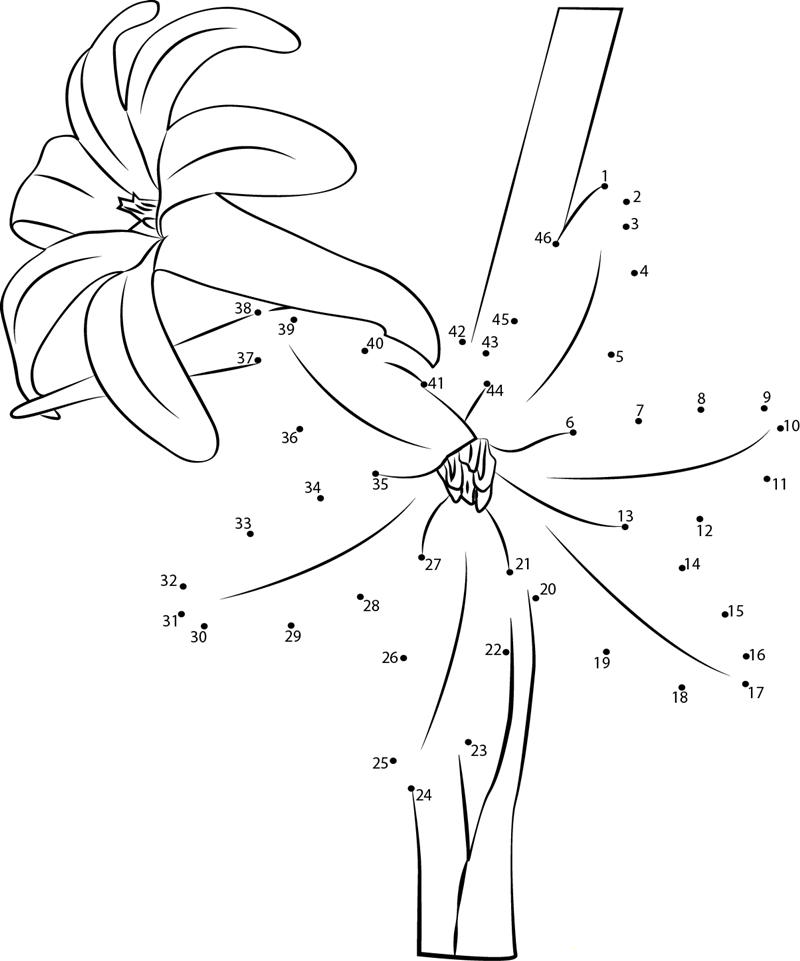 Tuberose F2 dot to dot worksheets