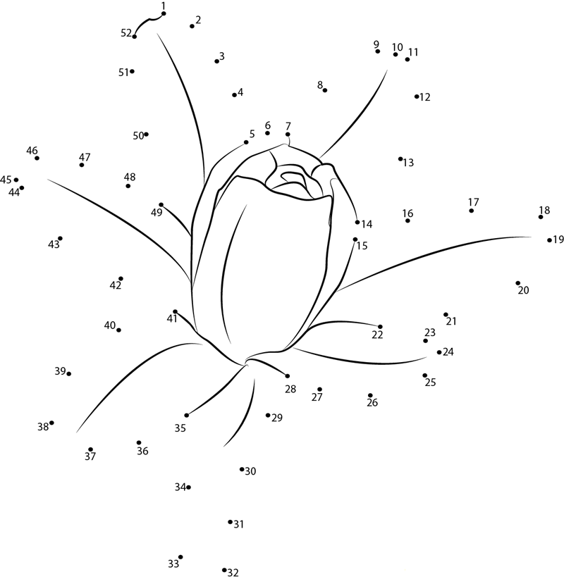 Tuberose Flower dot to dot worksheets