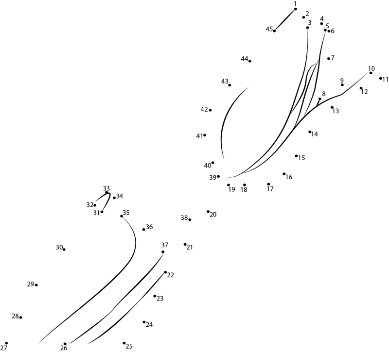 Tulip dot to dot worksheets