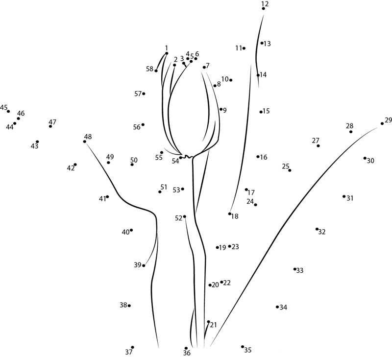 Tulip F2 dot to dot worksheets