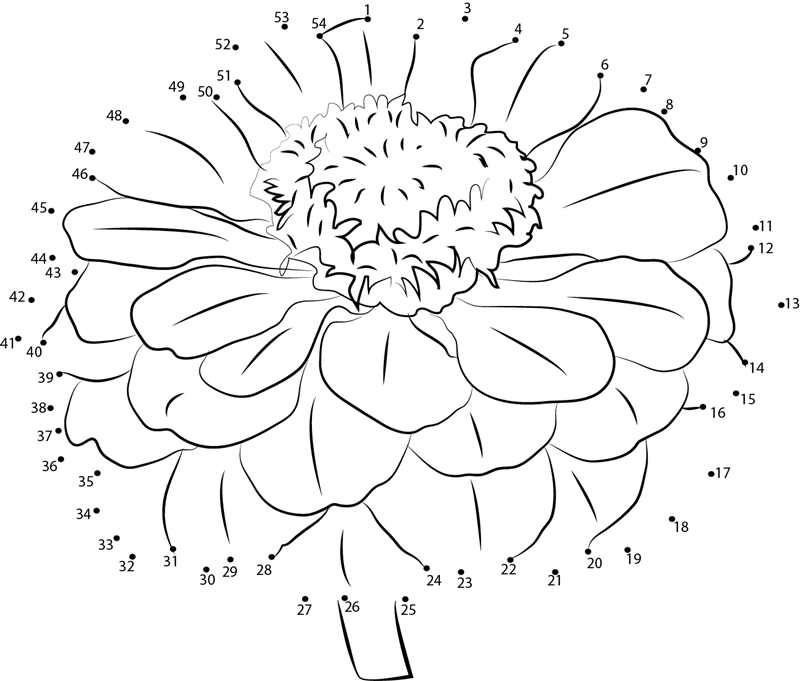 Zinnia dot to dot worksheets