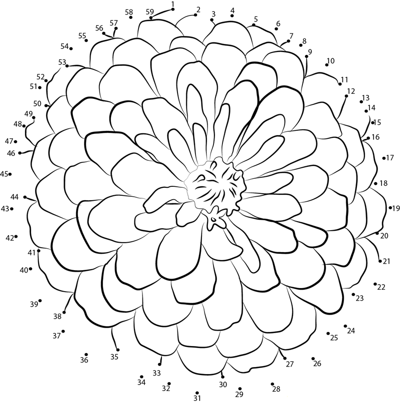 Zinnia F2 dot to dot worksheets