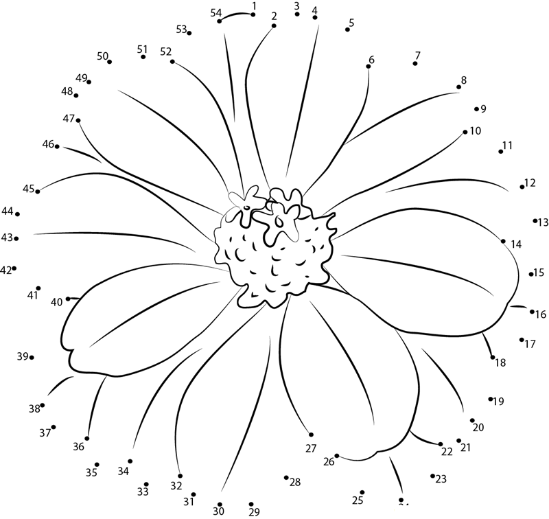 Zinnia Flower dot to dot worksheets