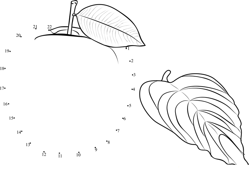 Apple Fruit And Slices dot to dot worksheet