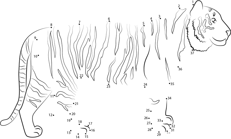 Tiger Up Look dot to dot worksheets