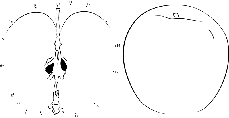Granny Smith Apples dot to dot worksheet