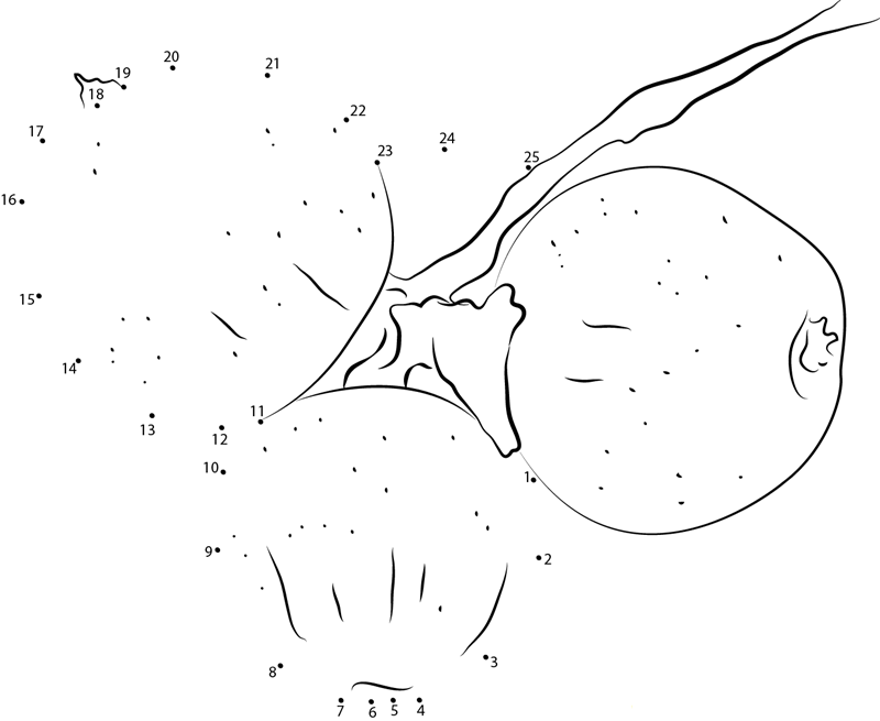 Three Apples printable dot to dot worksheet