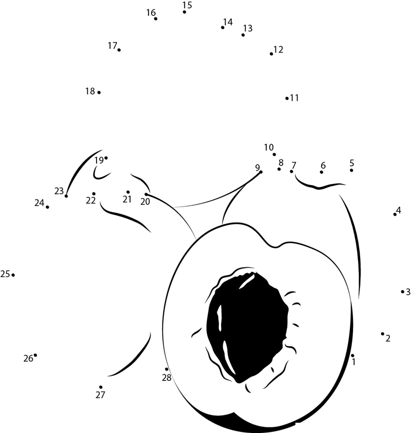 Apricot Cut Half printable dot to dot worksheet