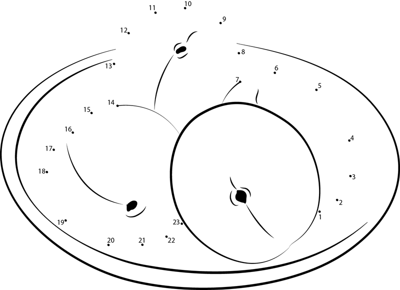 Apricot In Plate printable dot to dot worksheet